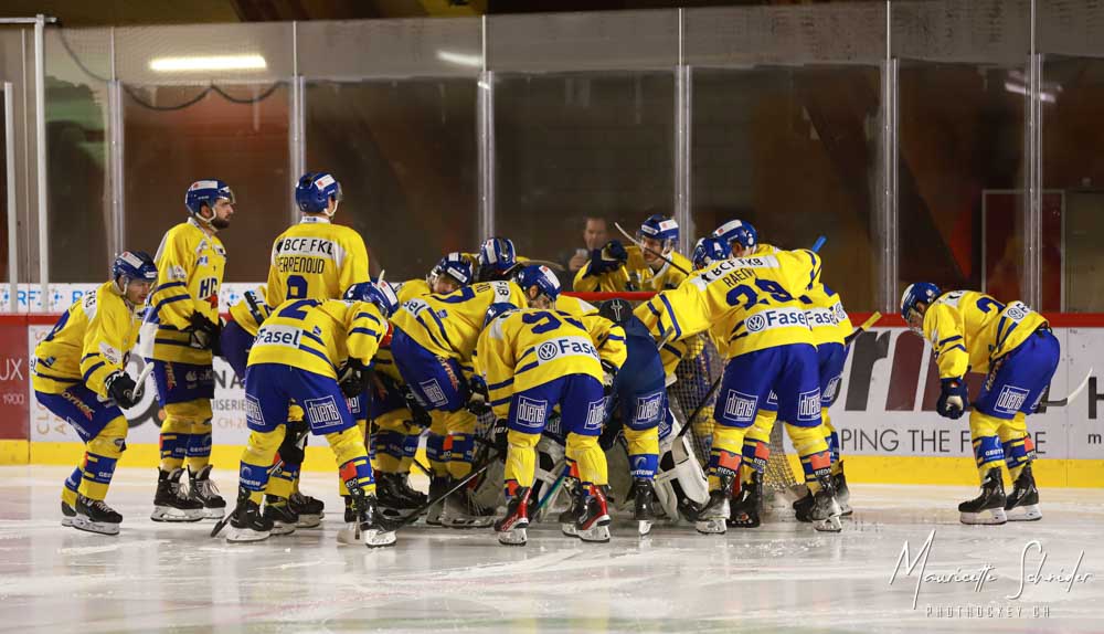 HC Düdingen Bulls